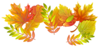 Fall Leaves PNG Decorative Clipart Image