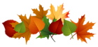 Fall Leaves PNG Picture