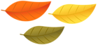 Fall Leaves Set PNG Clipart