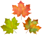 Fall Leaves Set PNG Clipart Image