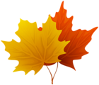 Fall Maple Leaves PNG Decorative Clipart Image