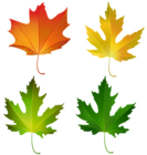 Fall Maple Leaves Set PNG Decorative Clipart Image