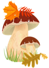Fall Mushrooms PNG Clipart Picture