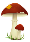 Fall Mushrooms Transparent PNG Picture