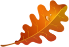 Fall Orange Leaf PNG Clipart Image