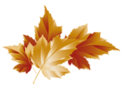 Fall Transparent Leaves Decor Picture