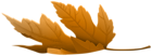 Fallen Leaf PNG Clipart