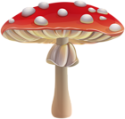 Flyagaric Mushroom PNG Clipart
