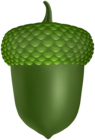 Green Acorn PNG Clipart
