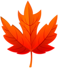 Leaf Red Fall PNG Transparent Clipart