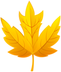 Leaf Yellow Fall PNG Transparent Clipart