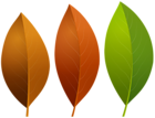 Leaves Set PNG Clipart