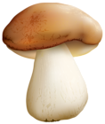 Mushroom PNG Clipart Image