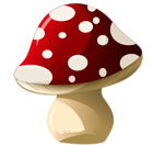 Mushroom PNG Clipart Picture