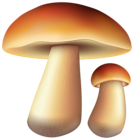 Mushrooms Free PNG Clip Art Image