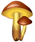 Mushrooms Transparent PNG Clipart Picture
