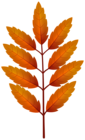 Orange Autumn Leaves Branch PNG Clipart