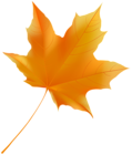Orange Fall Leaf PNG Clipart