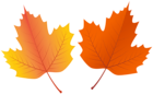 Orange Fall Leaves PNG Clipart