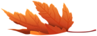 Orange Fallen Leaf PNG Clipart