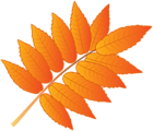 Orange Leaf PNG Clipart