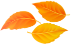 Orange Leaves PNG Transparent Clipart