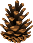 Pine Cone Clip Art Image
