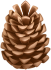 Pine Cone PNG Clip Art