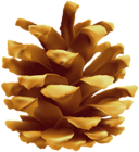 Pinecone Clip Art Image