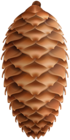 Pinecone Large PNG Clipart