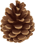Pinecone PNG Clip Art