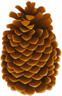 Pinecone PNG Clip Art Image