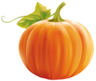 Pumpkin PNG Clipart Image