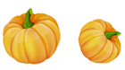 Pumpkins PNG Clipart