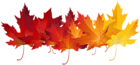 Red Autumn Leaves Transparent Clip Art Image