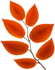 Red Autumn Leaves Twig PNG Clipart