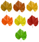 Set Autumn Leaves PNG Clip Art Image
