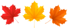Set Fall Leaves PNG Clip Art Image