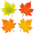 Set of Autumn Leaves PNG Clip Art