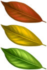 Set of Autumn Leaves PNG Clipart