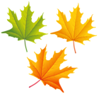Set of Autumn Leaves PNG Clipart Image