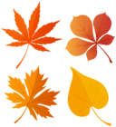 Set of Diferent Autumn Leaves PNG Clipart