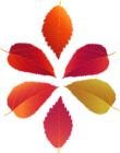 Set of Fall Leaves PNG Clip Art