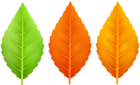 Three Autumn Leaves PNG Clipart