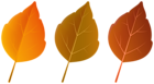 Three Colors Autumn Leaves PNG Clipart