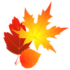Transparent Fall Leaves Clipart