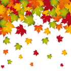 Transparent Fall Leaves Decoration PNG Image