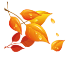 Transparent Fall Leaves PNG Clipart