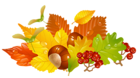Transparent Fall Leaves and Chestnuts Picture