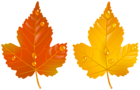 Two Autumn Leaves PNG Clipart